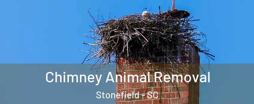 Chimney Animal Removal Stonefield - SC