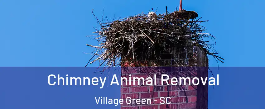 Chimney Animal Removal Village Green - SC