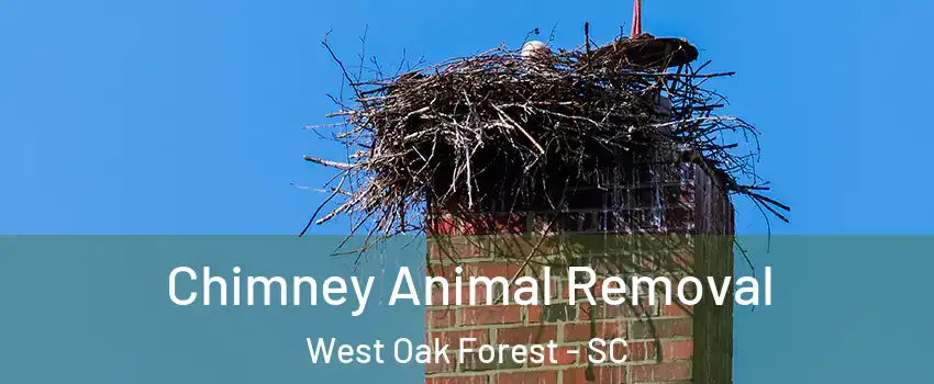 Chimney Animal Removal West Oak Forest - SC