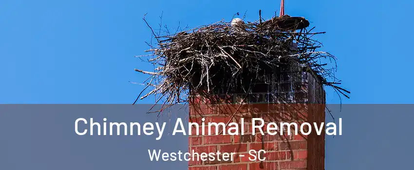 Chimney Animal Removal Westchester - SC