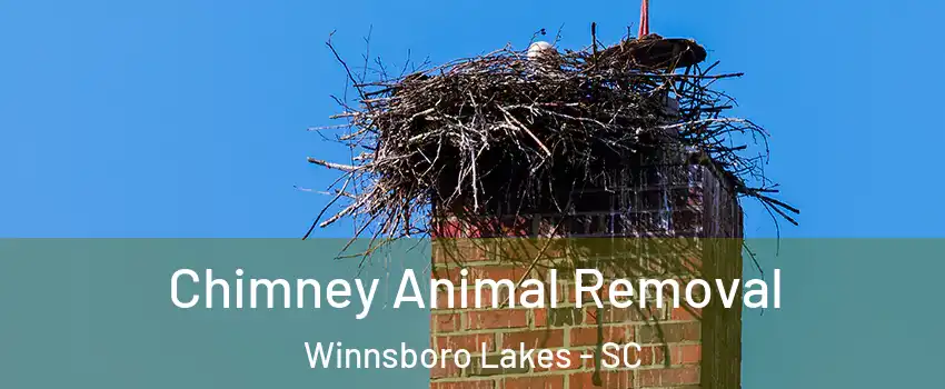 Chimney Animal Removal Winnsboro Lakes - SC