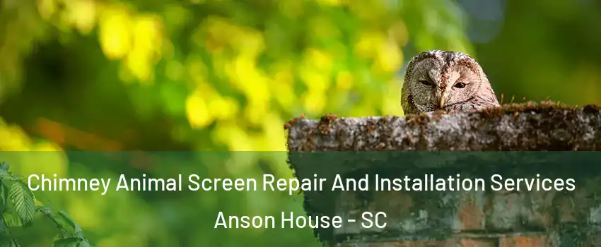 Chimney Animal Screen Repair And Installation Services Anson House - SC