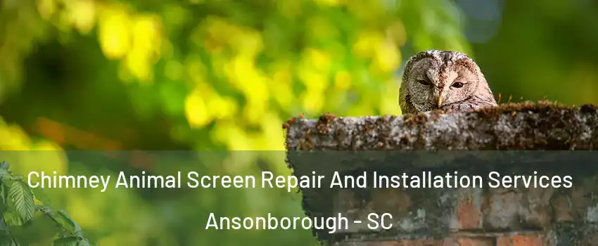 Chimney Animal Screen Repair And Installation Services Ansonborough - SC