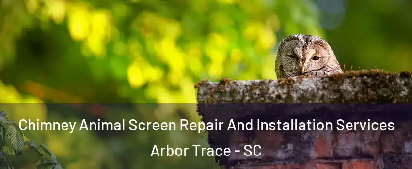 Chimney Animal Screen Repair And Installation Services Arbor Trace - SC