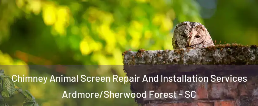 Chimney Animal Screen Repair And Installation Services Ardmore/Sherwood Forest - SC