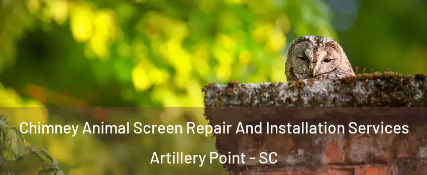 Chimney Animal Screen Repair And Installation Services Artillery Point - SC