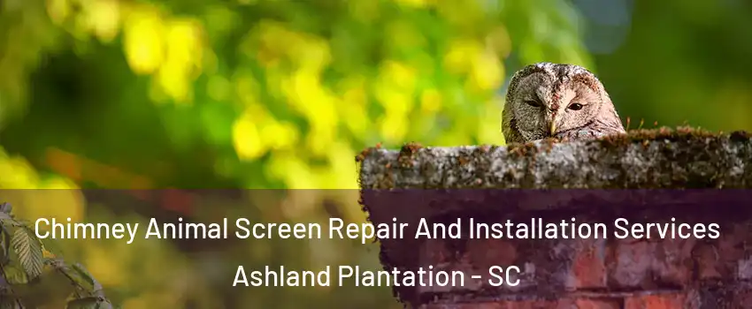 Chimney Animal Screen Repair And Installation Services Ashland Plantation - SC