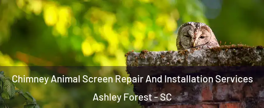 Chimney Animal Screen Repair And Installation Services Ashley Forest - SC