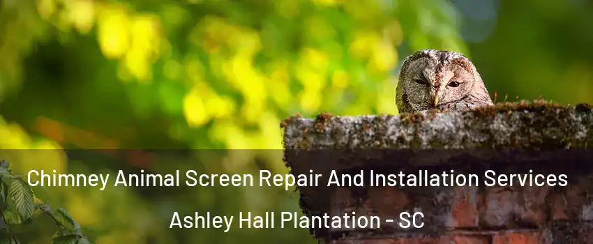 Chimney Animal Screen Repair And Installation Services Ashley Hall Plantation - SC