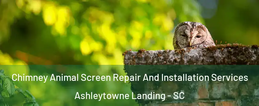 Chimney Animal Screen Repair And Installation Services Ashleytowne Landing - SC