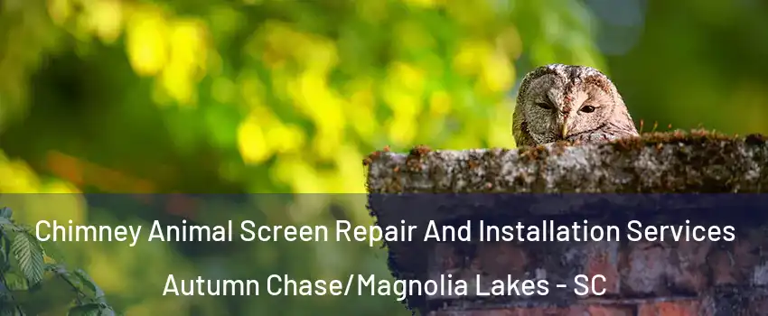 Chimney Animal Screen Repair And Installation Services Autumn Chase/Magnolia Lakes - SC