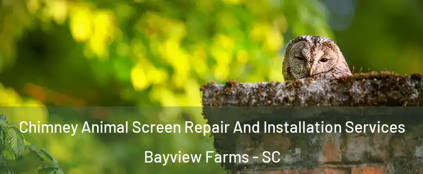 Chimney Animal Screen Repair And Installation Services Bayview Farms - SC