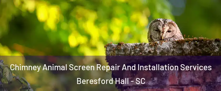 Chimney Animal Screen Repair And Installation Services Beresford Hall - SC