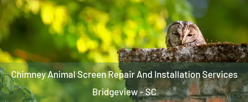 Chimney Animal Screen Repair And Installation Services Bridgeview - SC