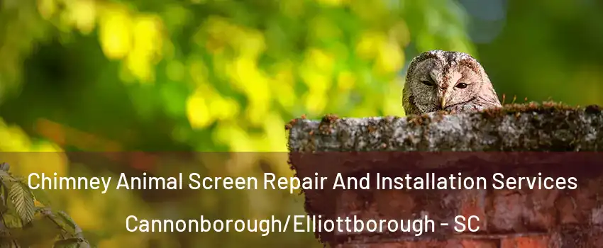 Chimney Animal Screen Repair And Installation Services Cannonborough/Elliottborough - SC