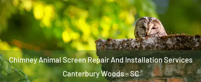 Chimney Animal Screen Repair And Installation Services Canterbury Woods - SC