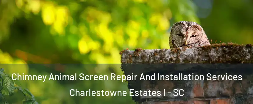 Chimney Animal Screen Repair And Installation Services Charlestowne Estates I - SC