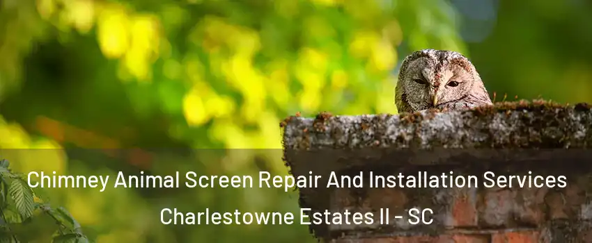 Chimney Animal Screen Repair And Installation Services Charlestowne Estates II - SC