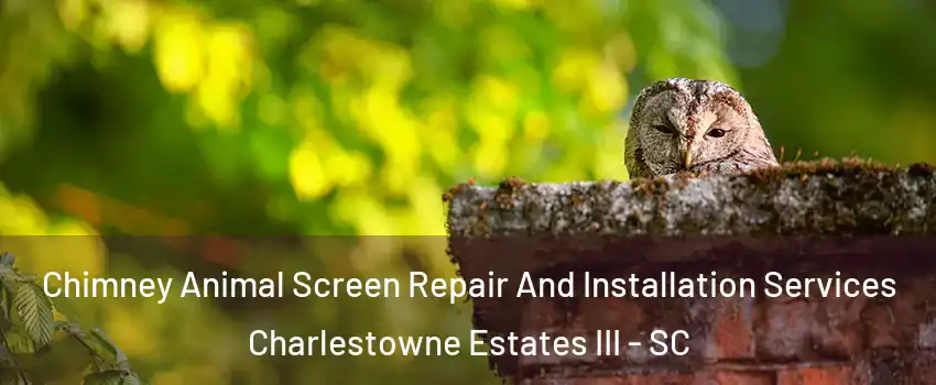 Chimney Animal Screen Repair And Installation Services Charlestowne Estates III - SC