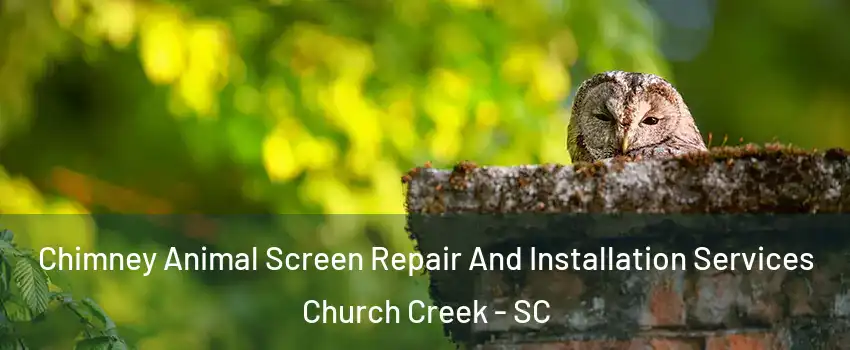 Chimney Animal Screen Repair And Installation Services Church Creek - SC