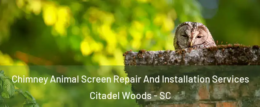 Chimney Animal Screen Repair And Installation Services Citadel Woods - SC