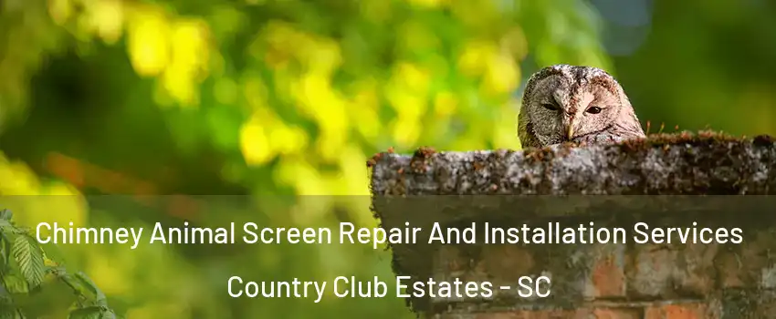 Chimney Animal Screen Repair And Installation Services Country Club Estates - SC