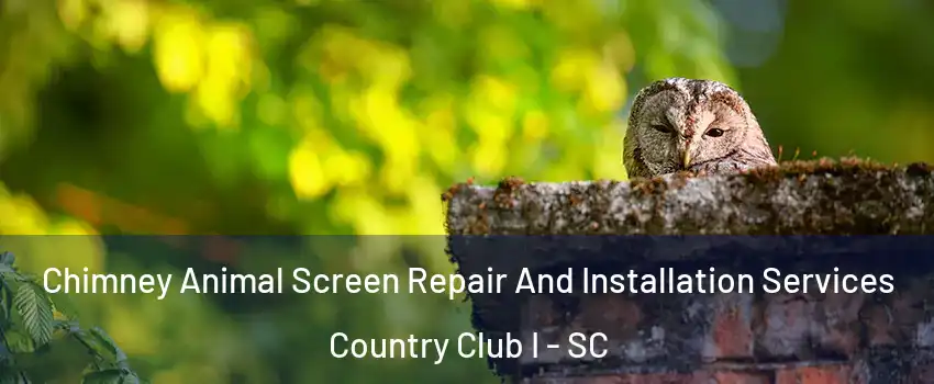 Chimney Animal Screen Repair And Installation Services Country Club I - SC