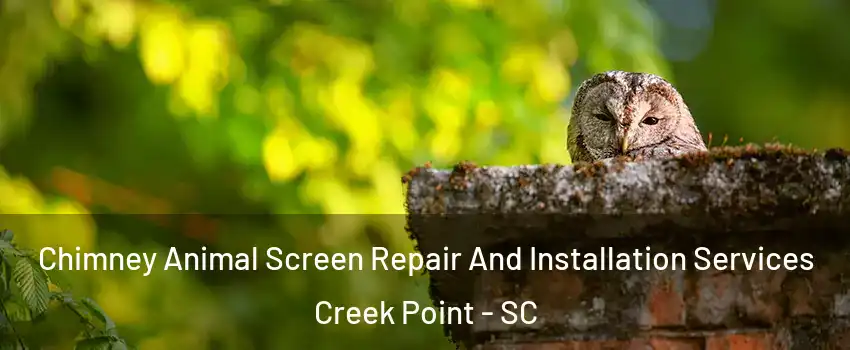 Chimney Animal Screen Repair And Installation Services Creek Point - SC