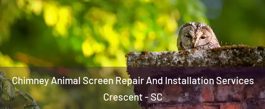 Chimney Animal Screen Repair And Installation Services Crescent - SC