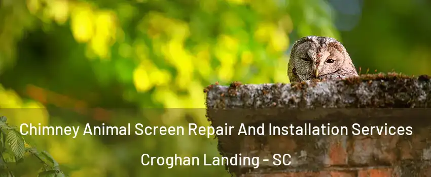 Chimney Animal Screen Repair And Installation Services Croghan Landing - SC