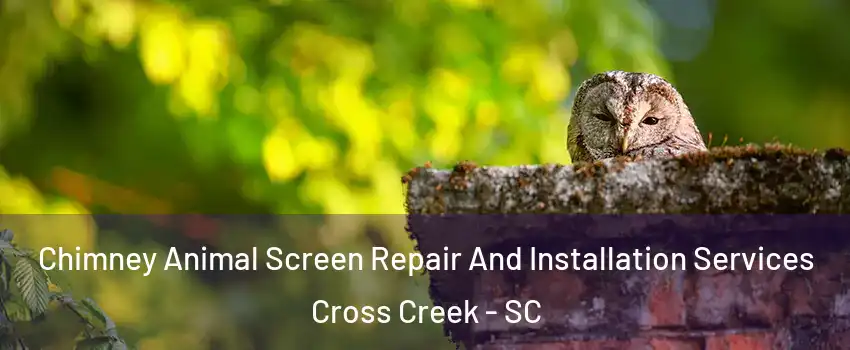 Chimney Animal Screen Repair And Installation Services Cross Creek - SC