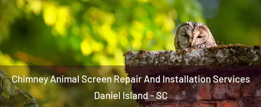 Chimney Animal Screen Repair And Installation Services Daniel Island - SC