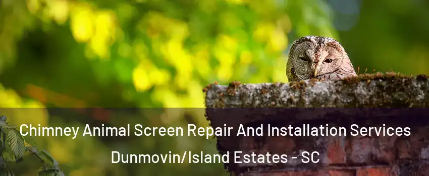 Chimney Animal Screen Repair And Installation Services Dunmovin/Island Estates - SC