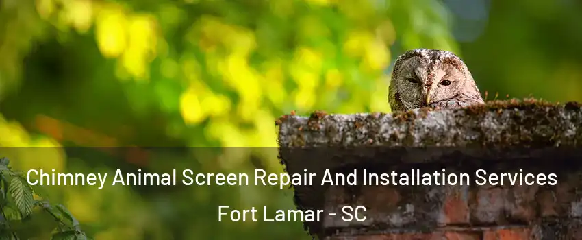 Chimney Animal Screen Repair And Installation Services Fort Lamar - SC