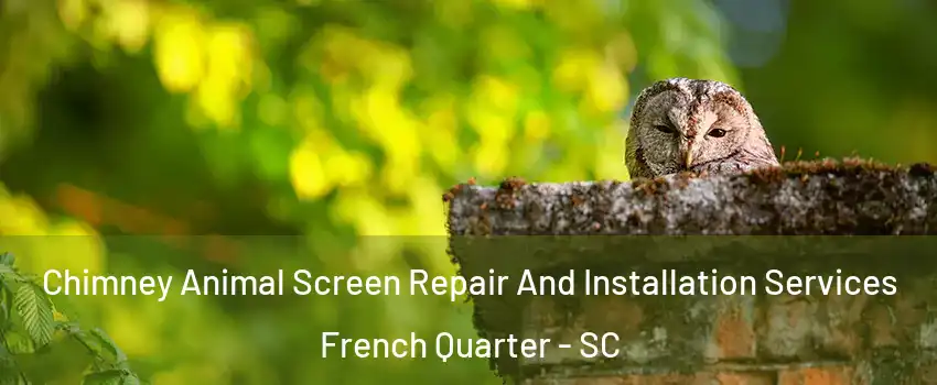 Chimney Animal Screen Repair And Installation Services French Quarter - SC