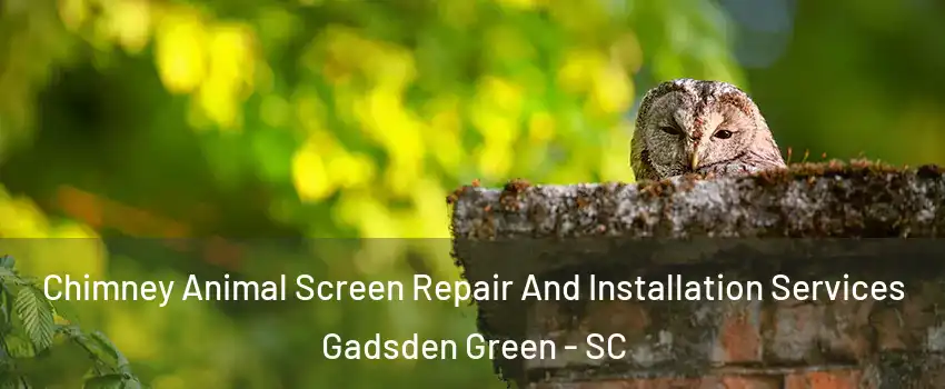 Chimney Animal Screen Repair And Installation Services Gadsden Green - SC