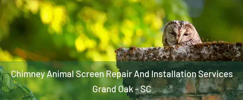 Chimney Animal Screen Repair And Installation Services Grand Oak - SC