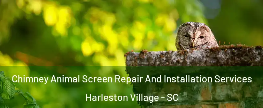 Chimney Animal Screen Repair And Installation Services Harleston Village - SC