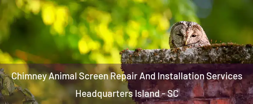 Chimney Animal Screen Repair And Installation Services Headquarters Island - SC