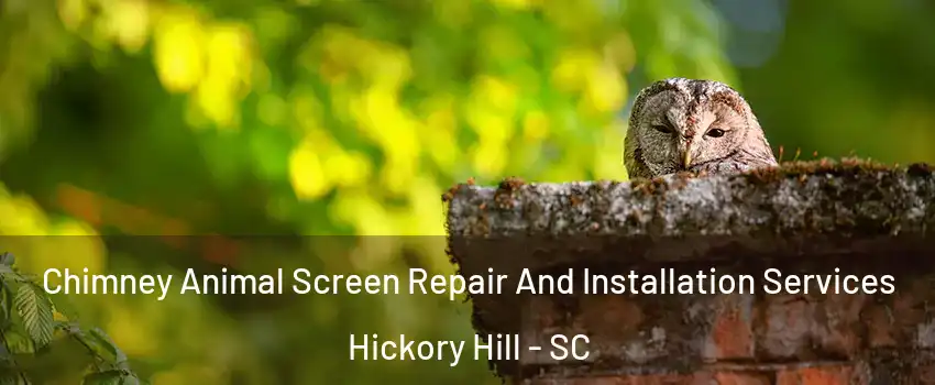 Chimney Animal Screen Repair And Installation Services Hickory Hill - SC