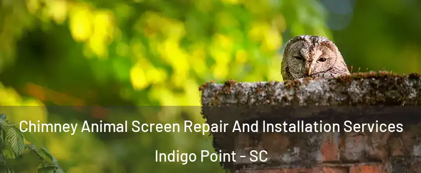 Chimney Animal Screen Repair And Installation Services Indigo Point - SC