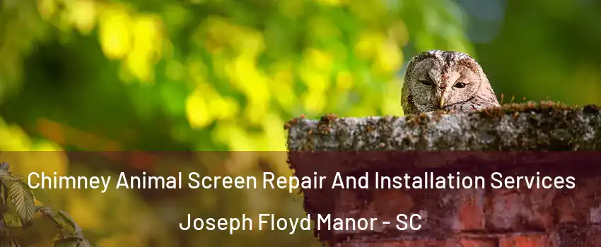 Chimney Animal Screen Repair And Installation Services Joseph Floyd Manor - SC