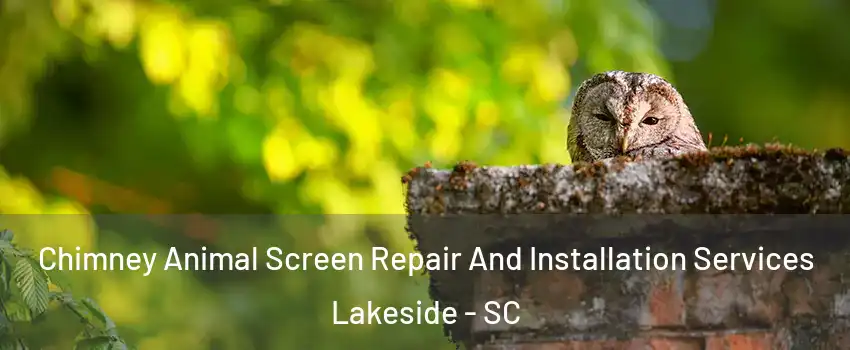 Chimney Animal Screen Repair And Installation Services Lakeside - SC