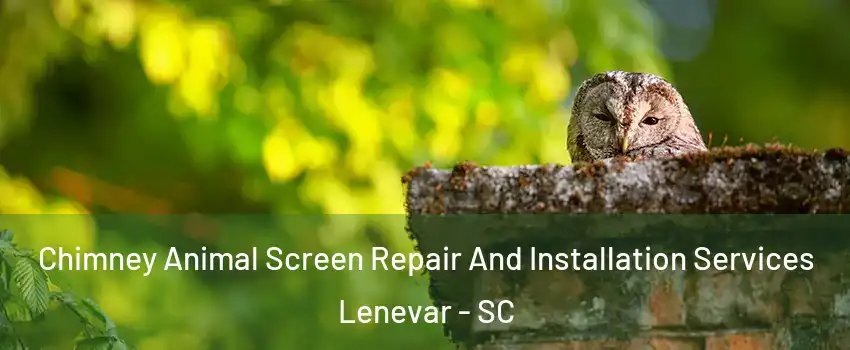 Chimney Animal Screen Repair And Installation Services Lenevar - SC