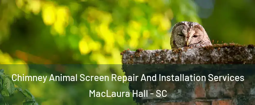 Chimney Animal Screen Repair And Installation Services MacLaura Hall - SC