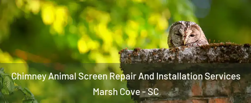 Chimney Animal Screen Repair And Installation Services Marsh Cove - SC