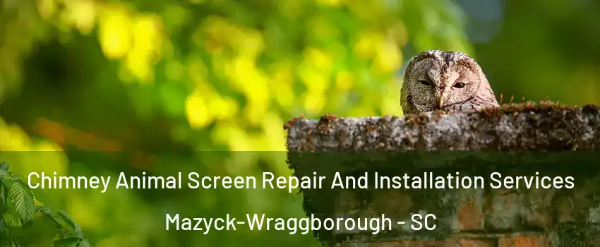 Chimney Animal Screen Repair And Installation Services Mazyck-Wraggborough - SC