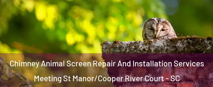 Chimney Animal Screen Repair And Installation Services Meeting St Manor/Cooper River Court - SC