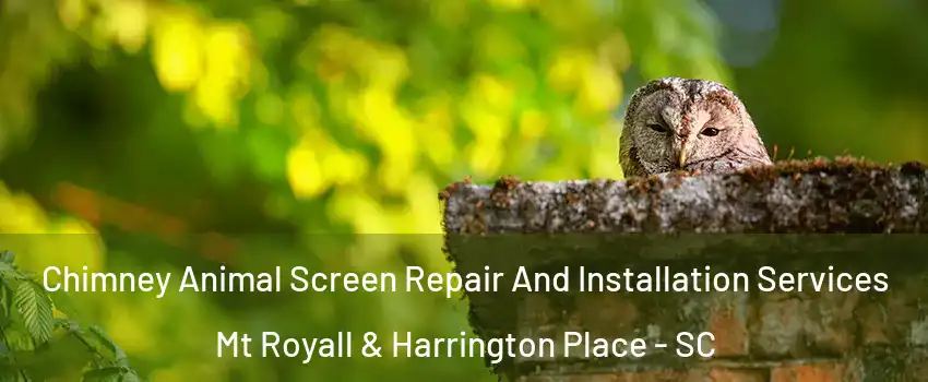 Chimney Animal Screen Repair And Installation Services Mt Royall & Harrington Place - SC