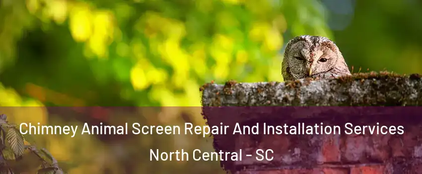 Chimney Animal Screen Repair And Installation Services North Central - SC